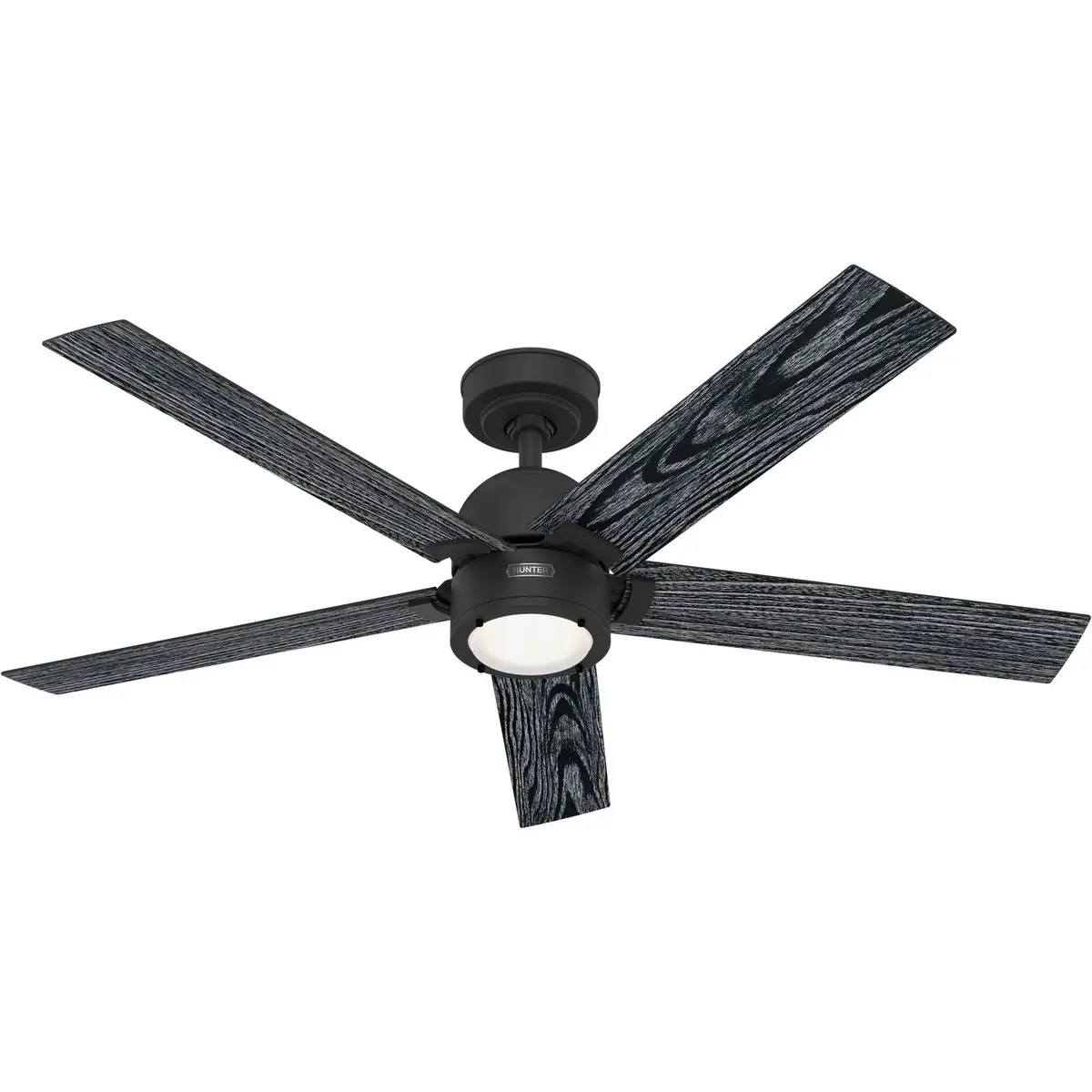 Hunter Erling | Ceiling Fan With 18W Module & Handheld Remote 1