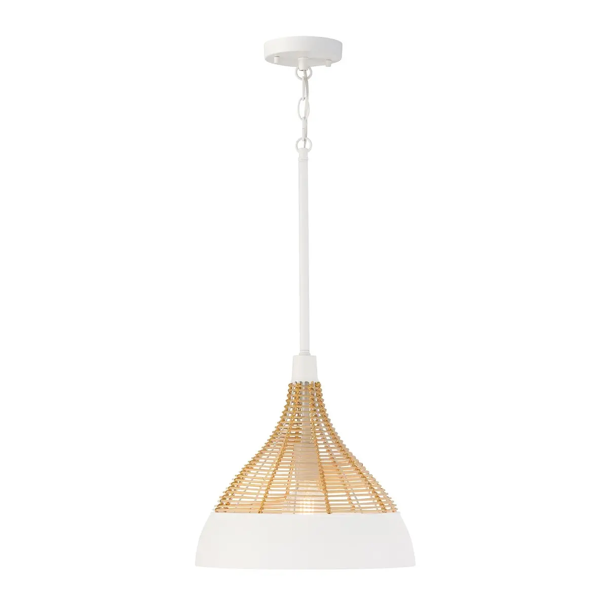 Capital Lighting Kali | Pendants At 100W 1