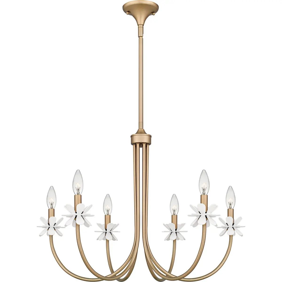 Quoizel Remy | Mid. Chandeliers At 60W 1