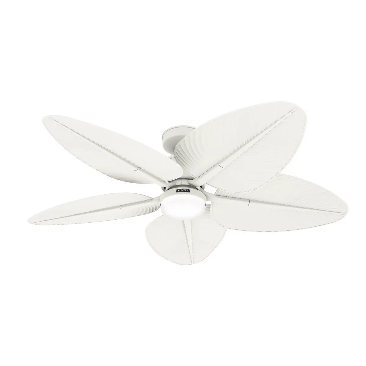 Hunter Tropic View | Ceiling Fan With 18W Module & Integrated Control System - Wall Control 1