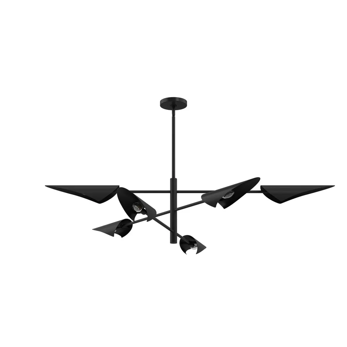 Hunter Merian | Large Chandeliers 1