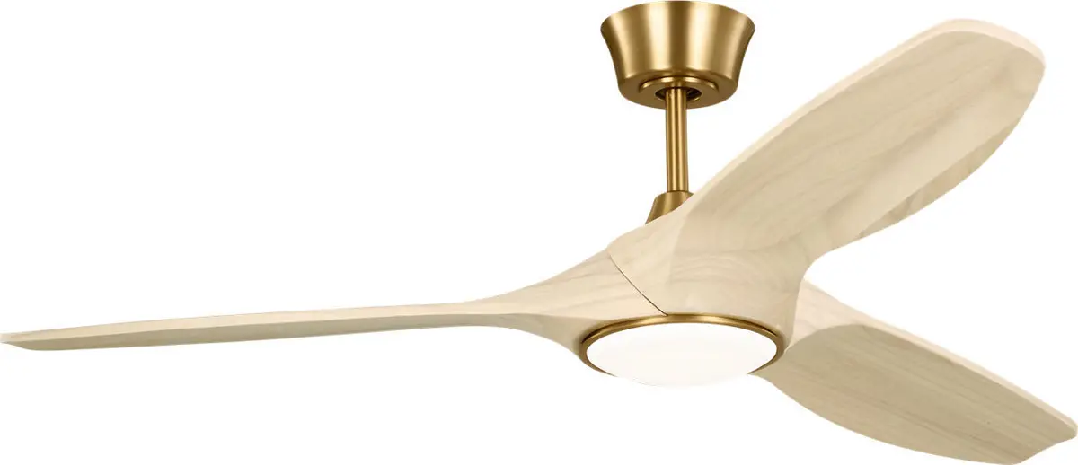 Visual Comfort Fan Selen | Outdoor Ceiling Fan 1