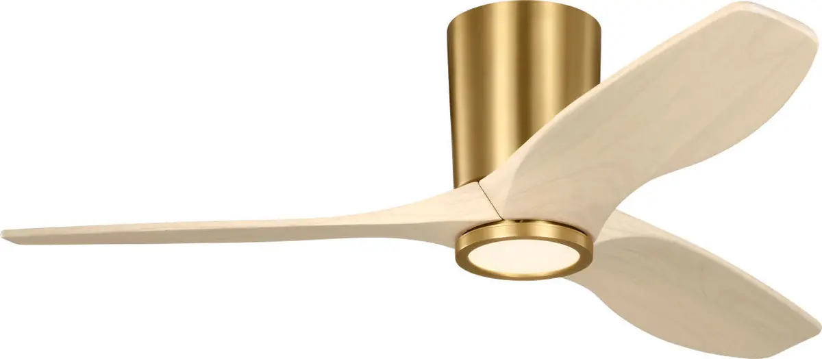 Visual Comfort Fan Seyra | Outdoor Ceiling Fan 1