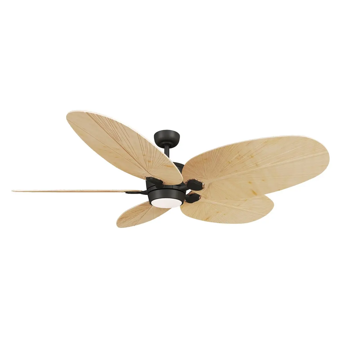 Minka Aire Portesa | Indoor Ceiling Fan With 20W & Hand Held Remote Control 1