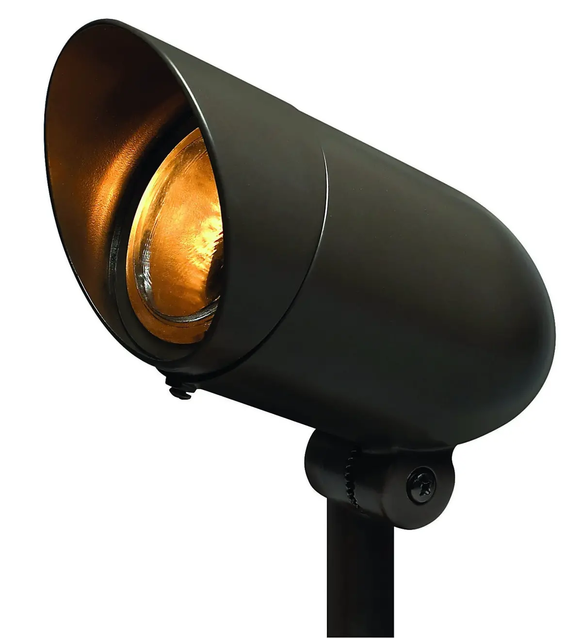 Accent Spot Light Led Landscape Spot In Bronze 1