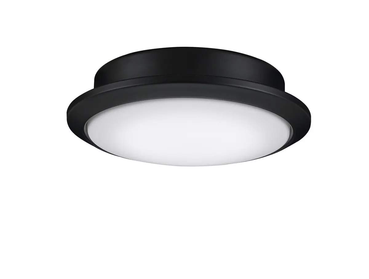 Fanimation One Light Fan Light Kit 1