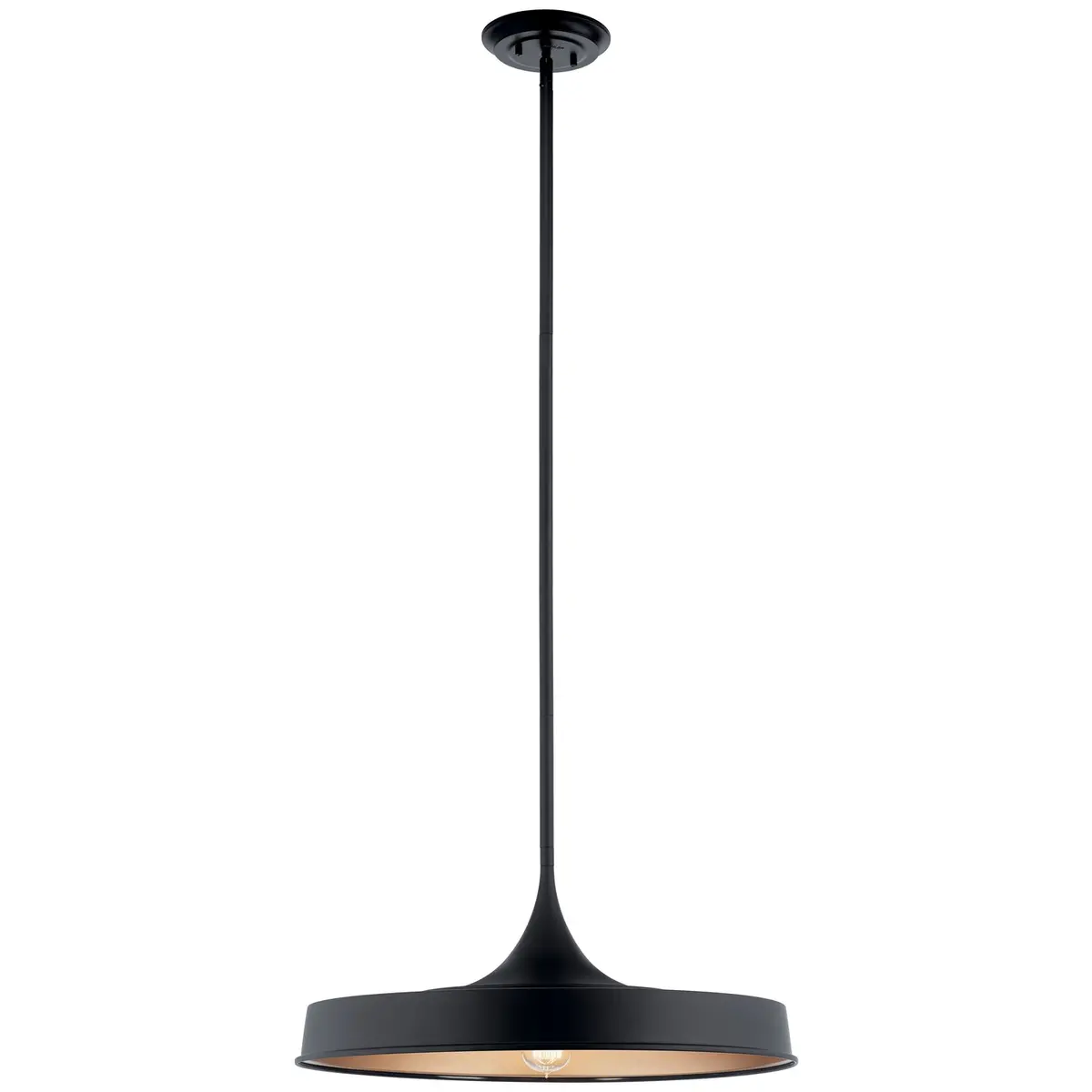 Kichler One Light Pendant/Semi Flush Mount 1