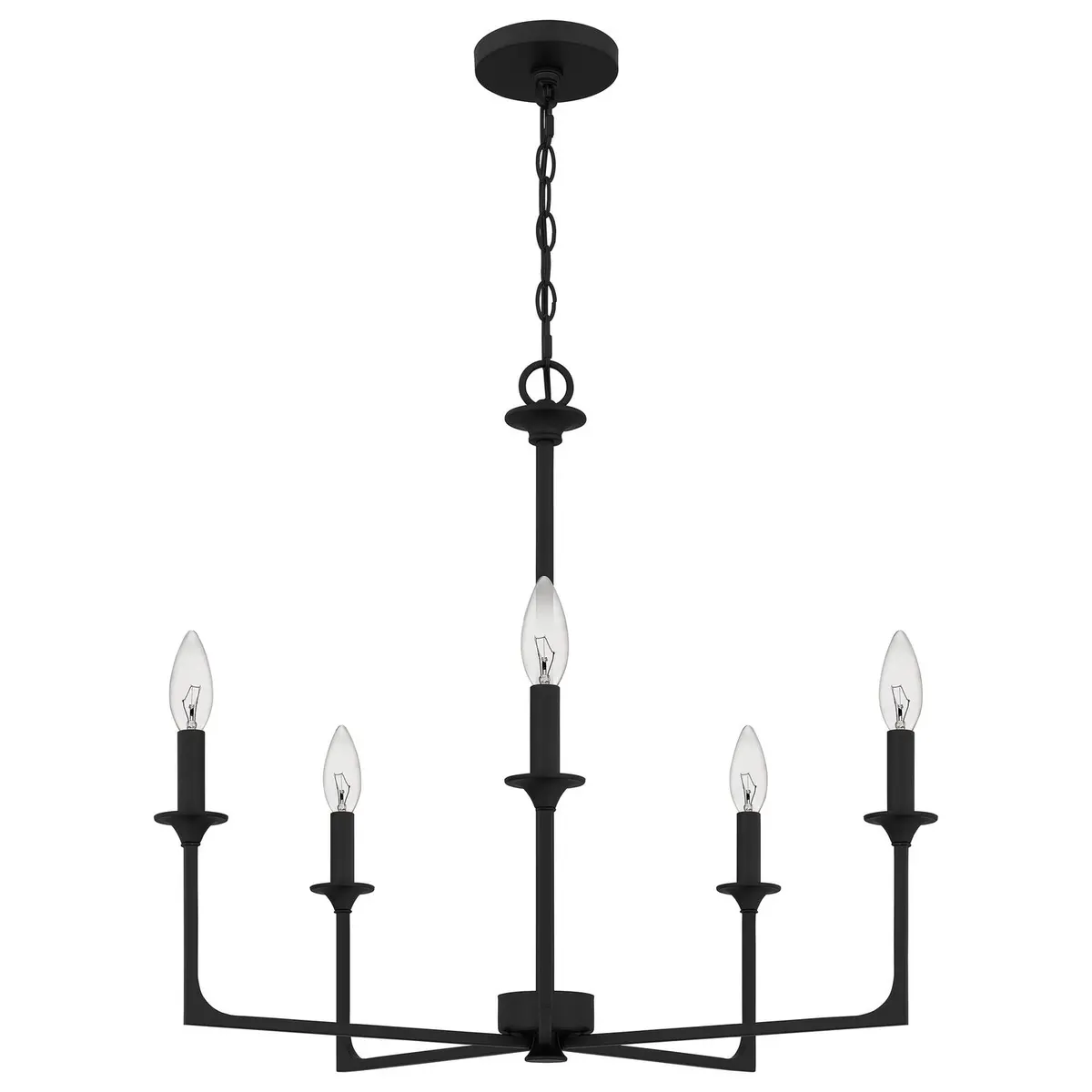 Quoizel Five Light Chandelier 2