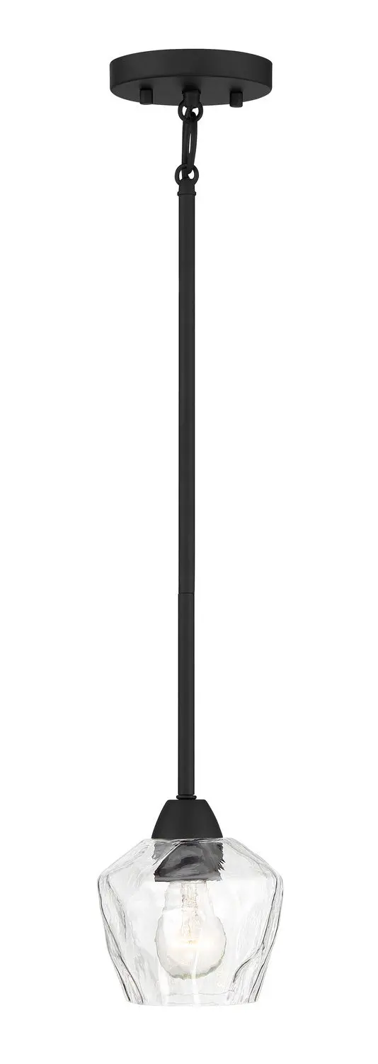 Minka Lavery Camrin One Light Pendant / Semi Flush In Coal 1