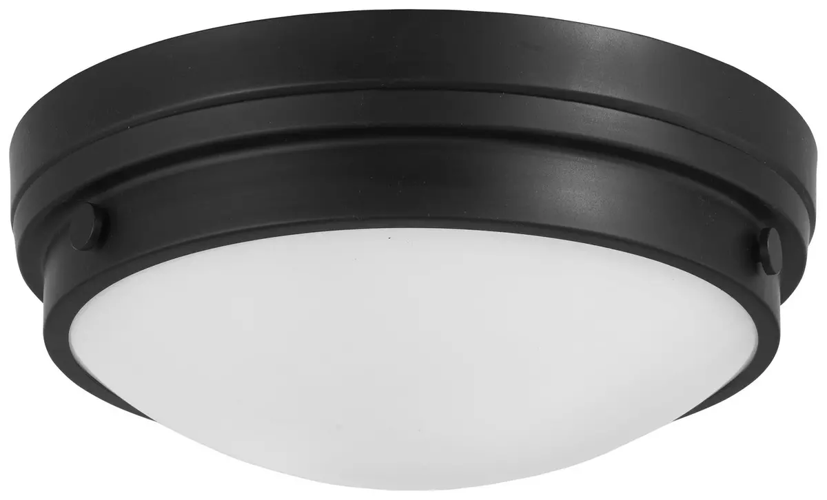 Minka Lavery Two Light Flush Mount In Coal 1