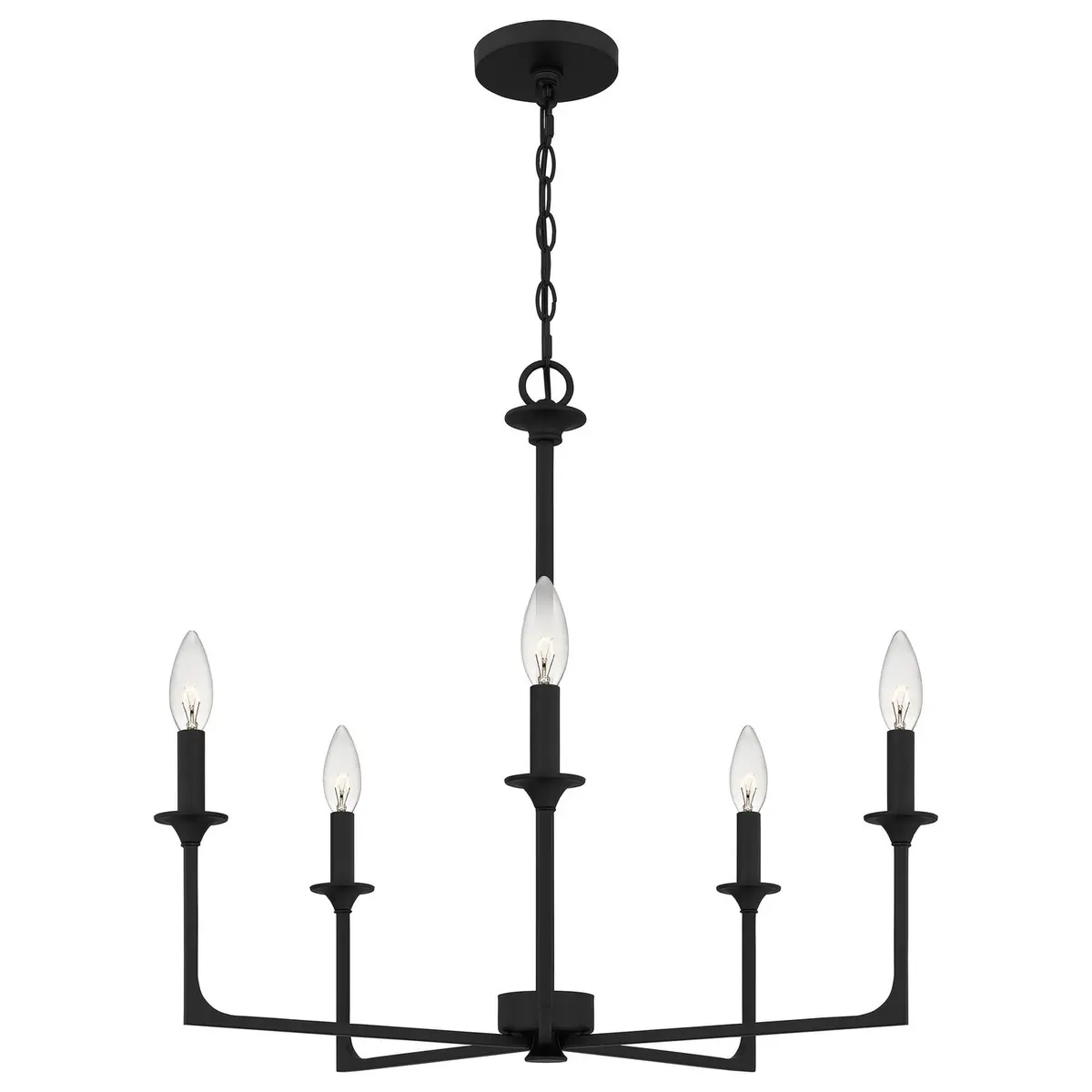 Quoizel Five Light Chandelier 1