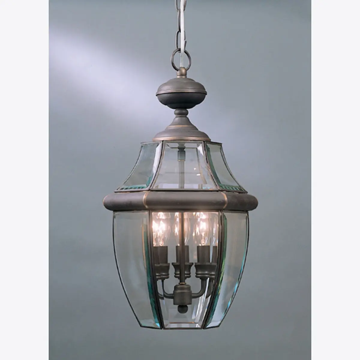 Quoizel Four Light Outdoor Hanging Lantern 1
