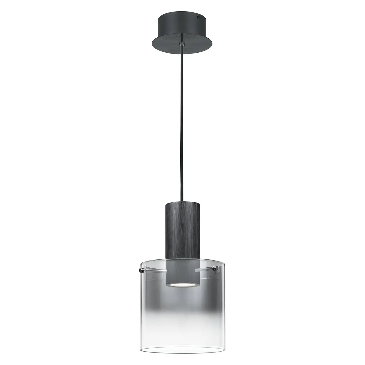 Quoizel Led Mini Pendant 1
