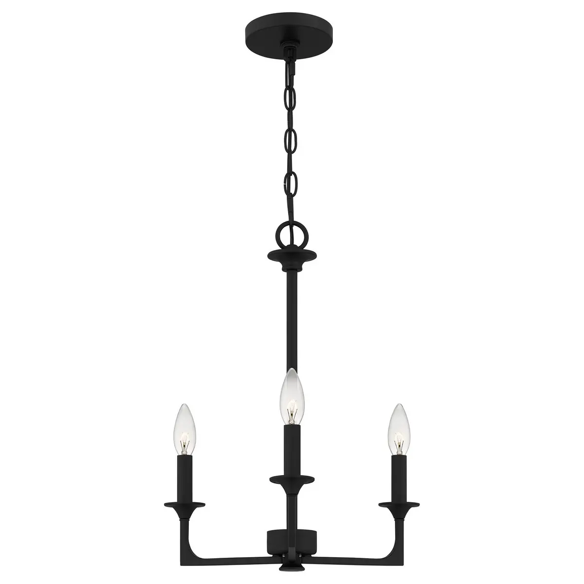 Quoizel Three Light Chandelier 1