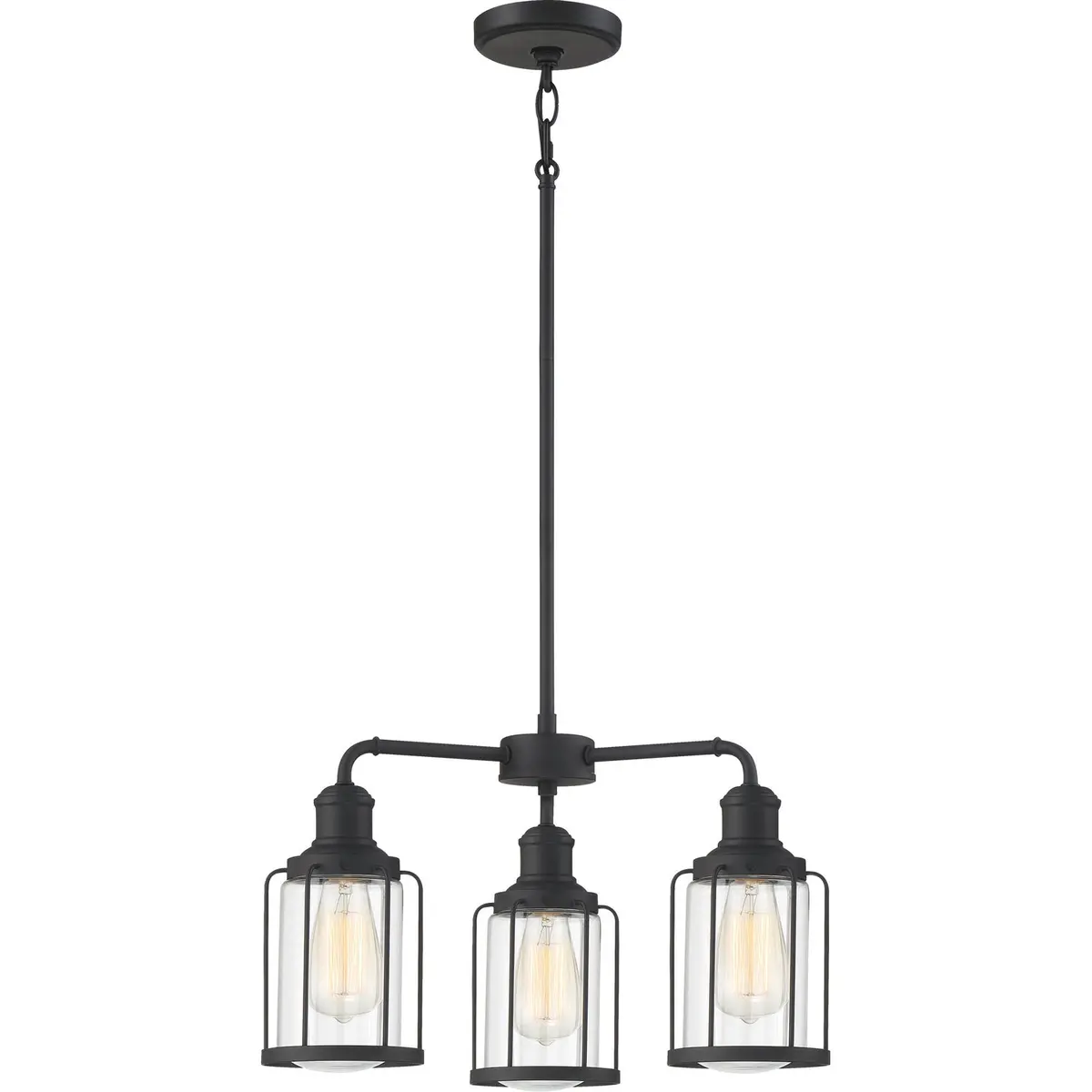 Quoizel Three Light Chandelier 1