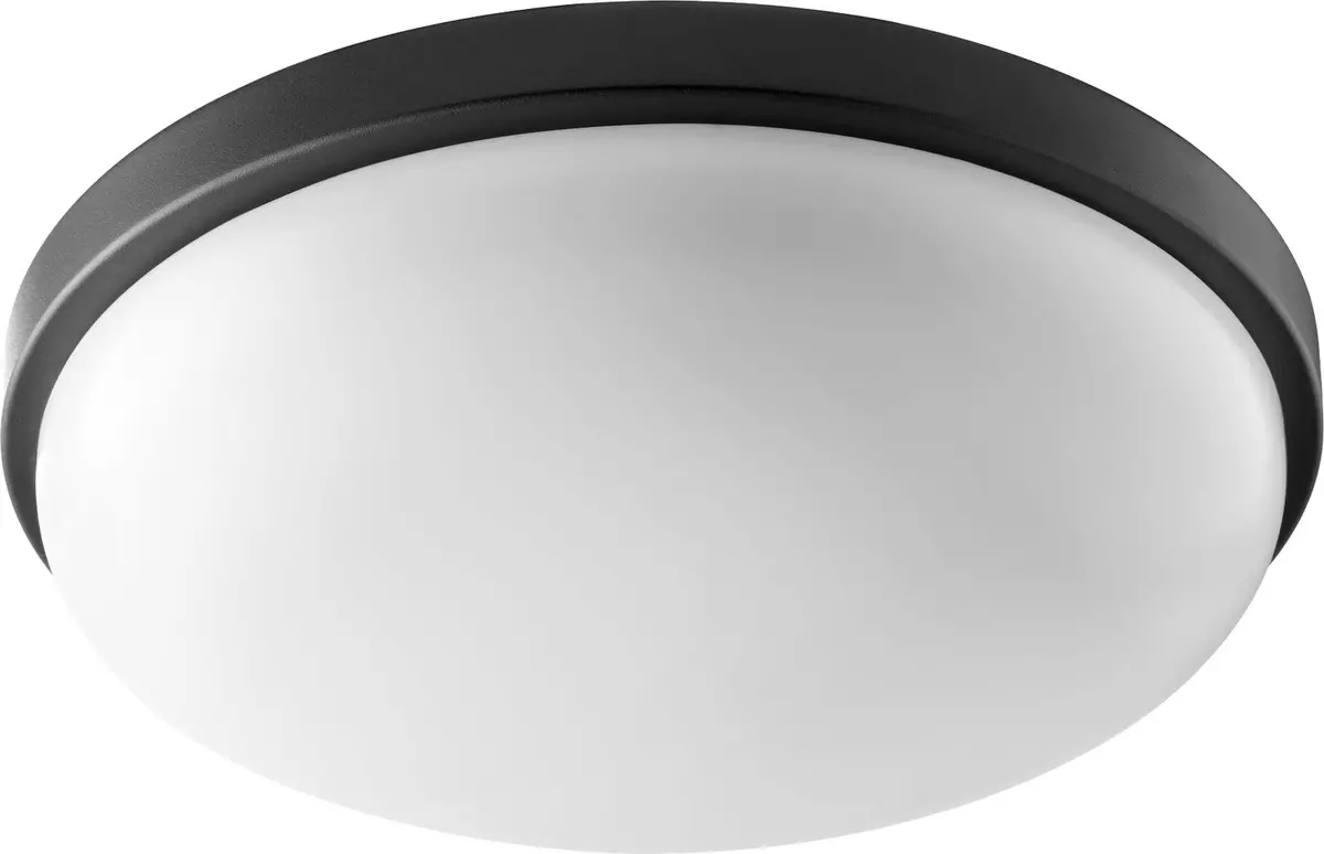 Quorum Led Ceiling Mount 1