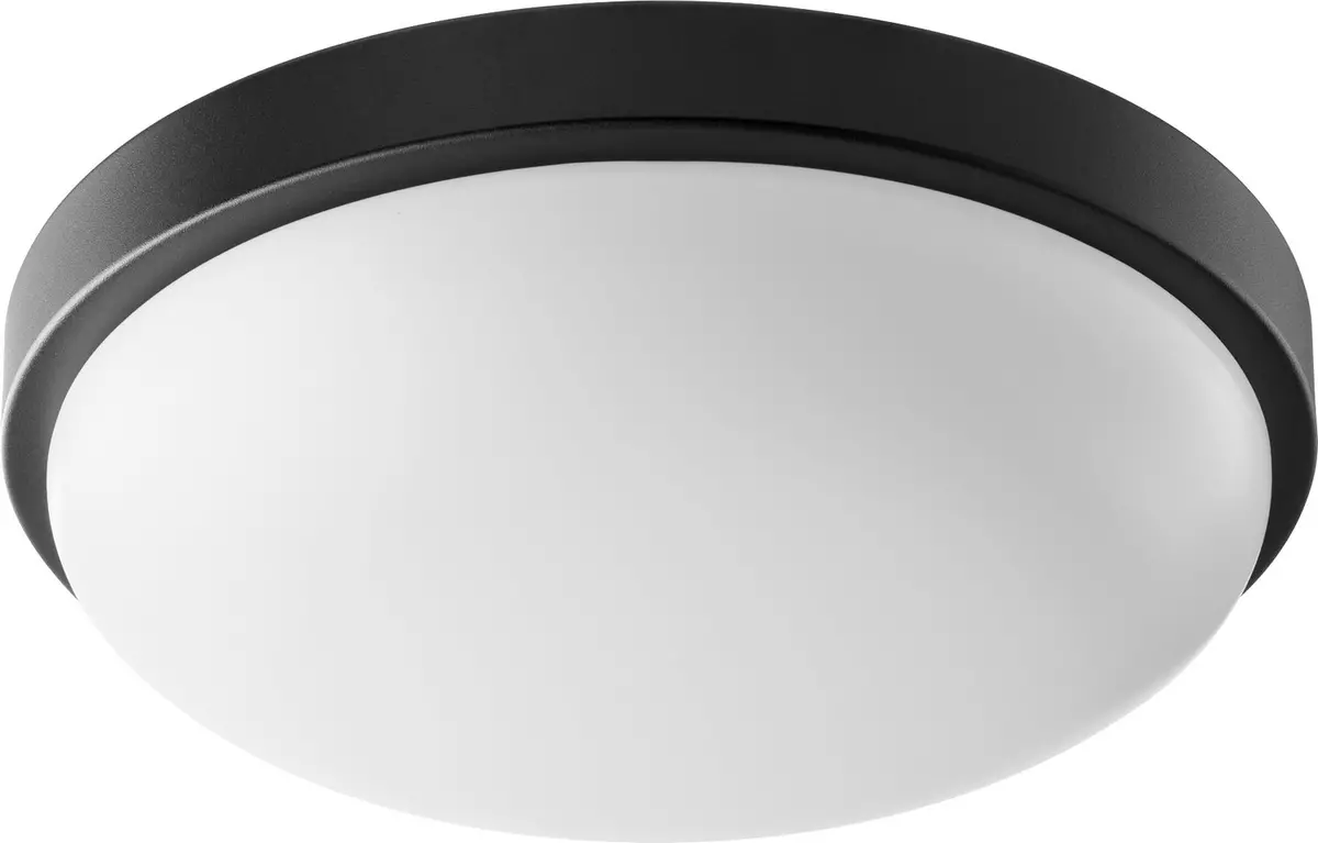 Quorum Led Ceiling Mount 1