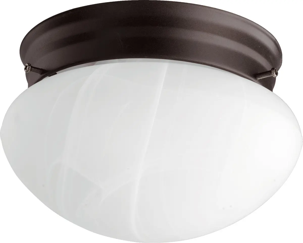 Quorum One Light Ceiling Mount 1