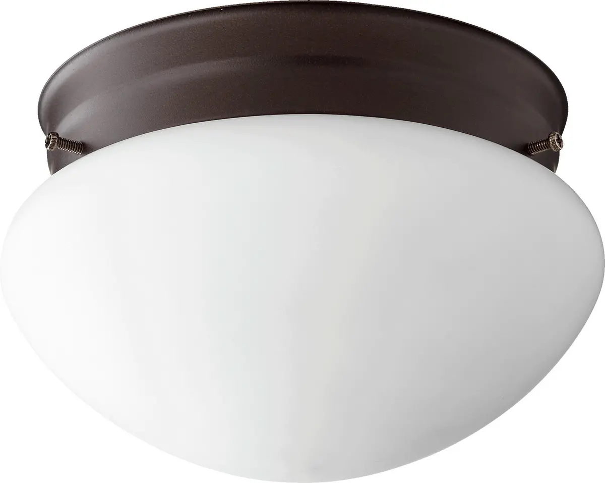 Quorum One Light Ceiling Mount 1