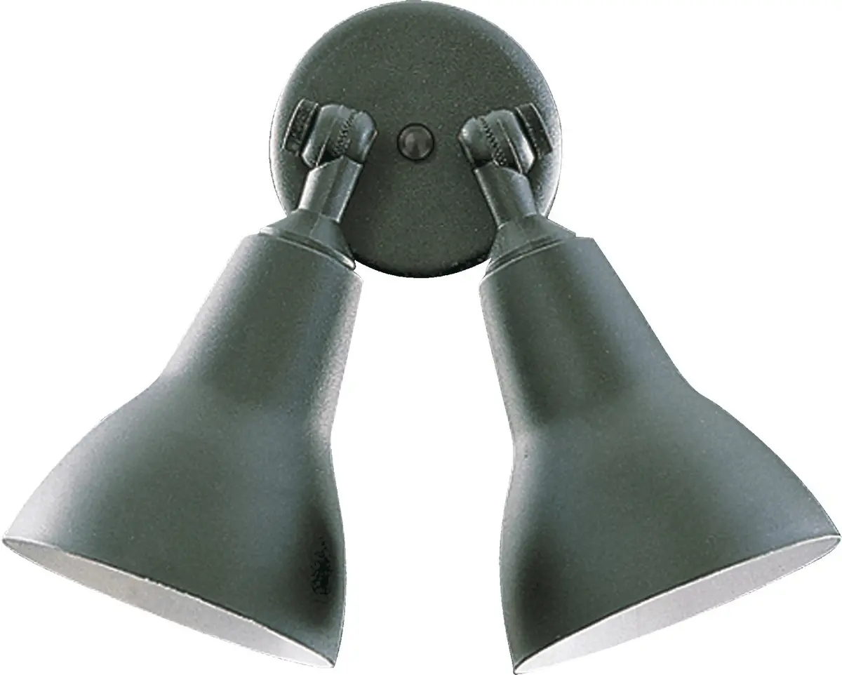 Quorum Two Light Ceiling Mount 1