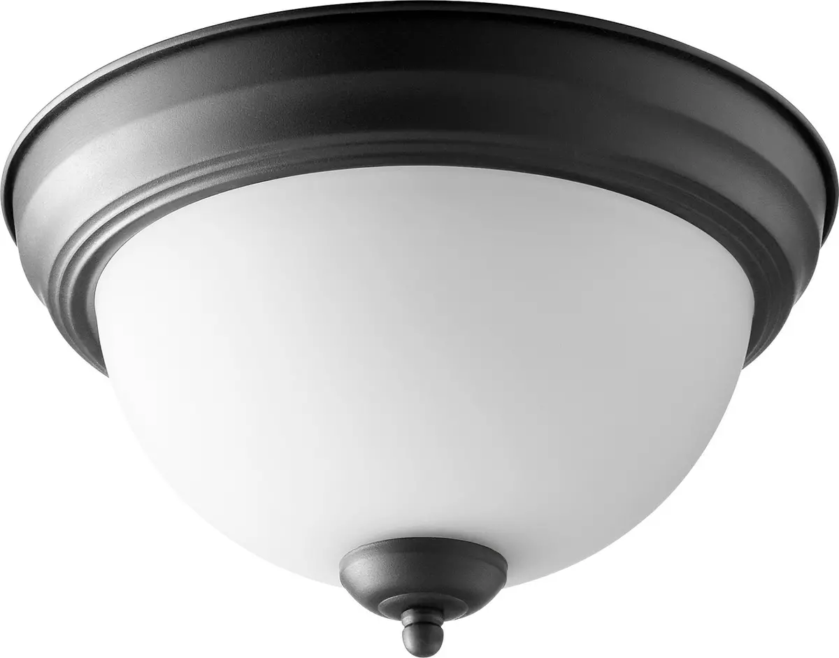 Quorum Two Light Ceiling Mount 1