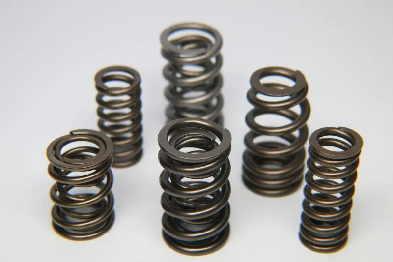 Ferrea Dual Valve Spring Kit For Toyota/Scion 2Ar-Fe Engine – 16-Piece Set 1